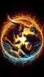 Bull vs Bear